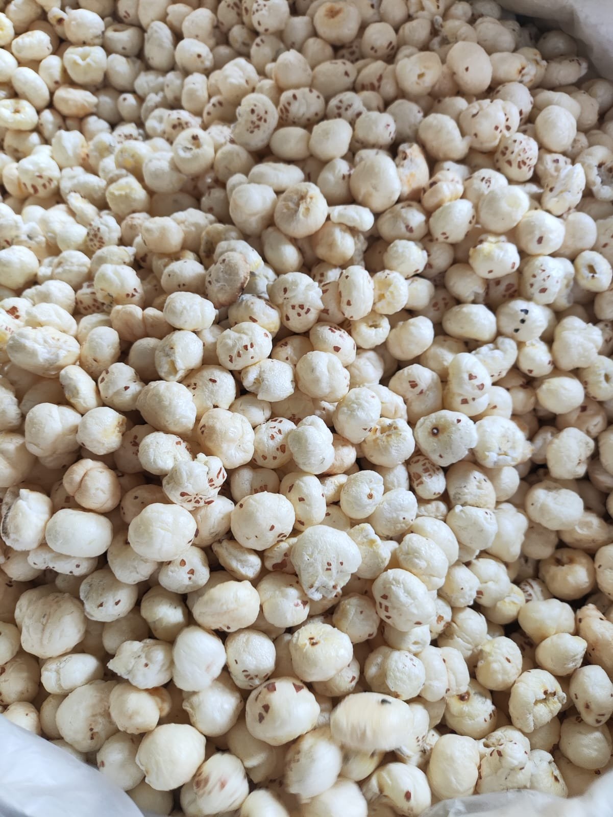 Fresh Raw Makhana 2026 – Premium Bulk Stock Available | Makhana Express