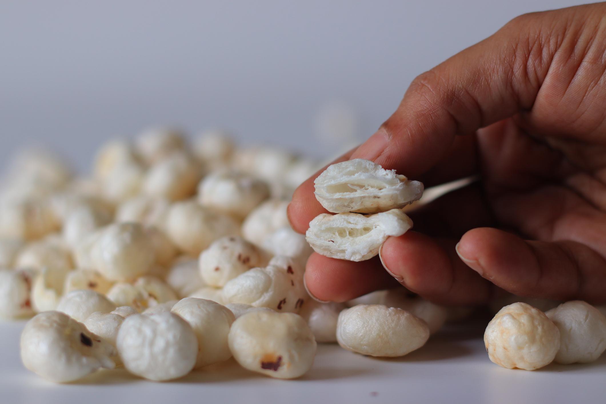Inside a Bihar Makhana Farm: A Day with Our Farmers